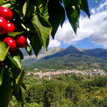 Albareilla By #Cherrygredos El Arenal  Luaran gambar