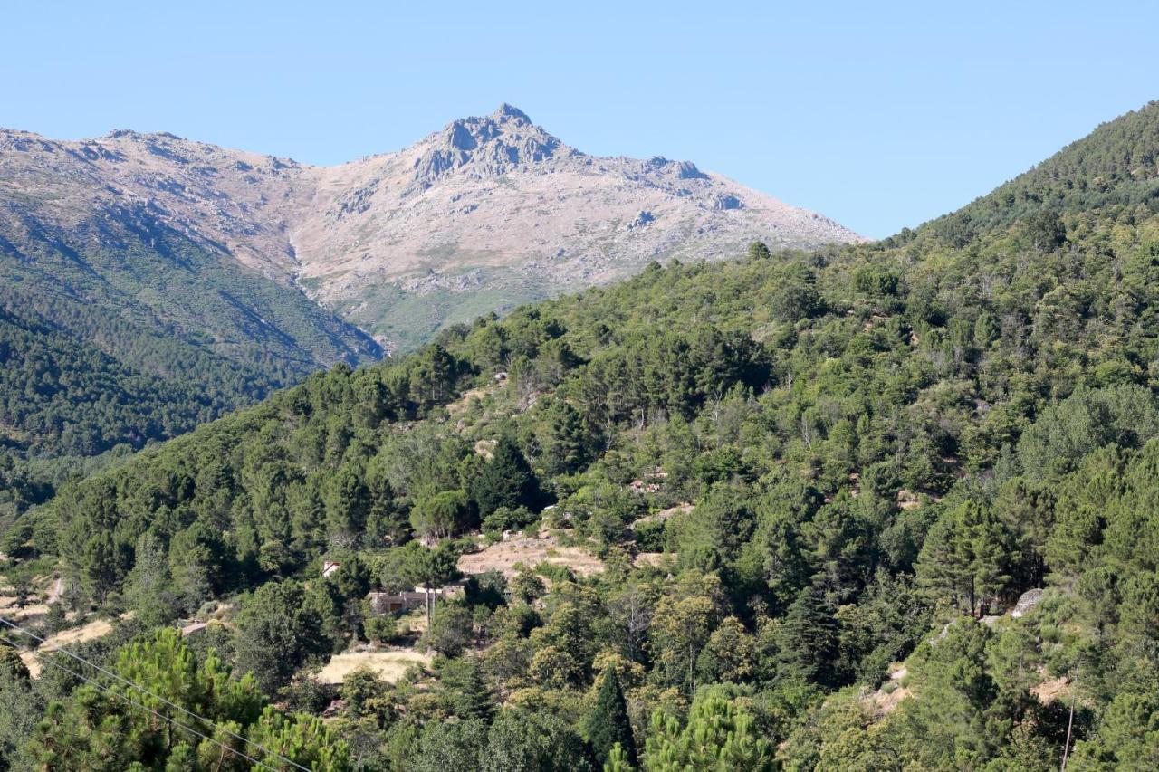 Albareilla By #Cherrygredos El Arenal  Luaran gambar