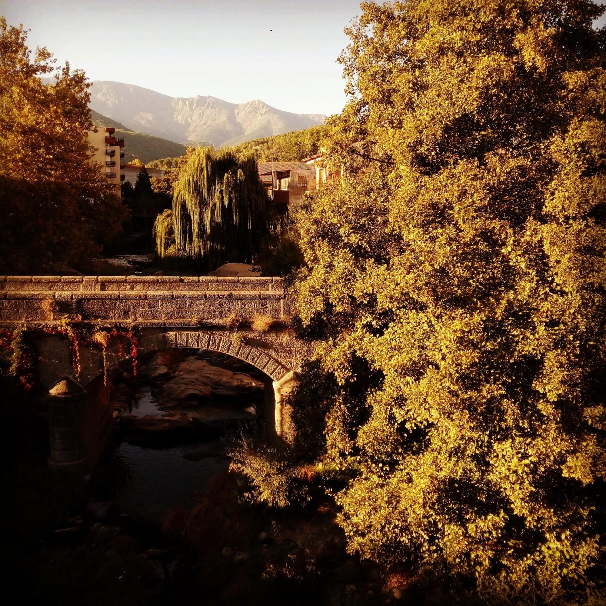 Albareilla By #Cherrygredos El Arenal  Luaran gambar