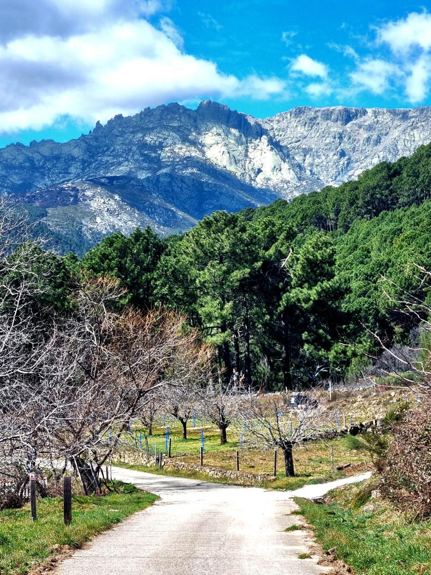Albareilla By #Cherrygredos El Arenal  Luaran gambar
